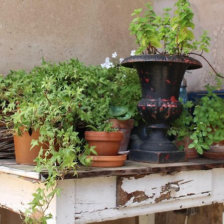 Bed and Breakfast Dans Le Jardin De Marie Bouxwiller  Exterior foto