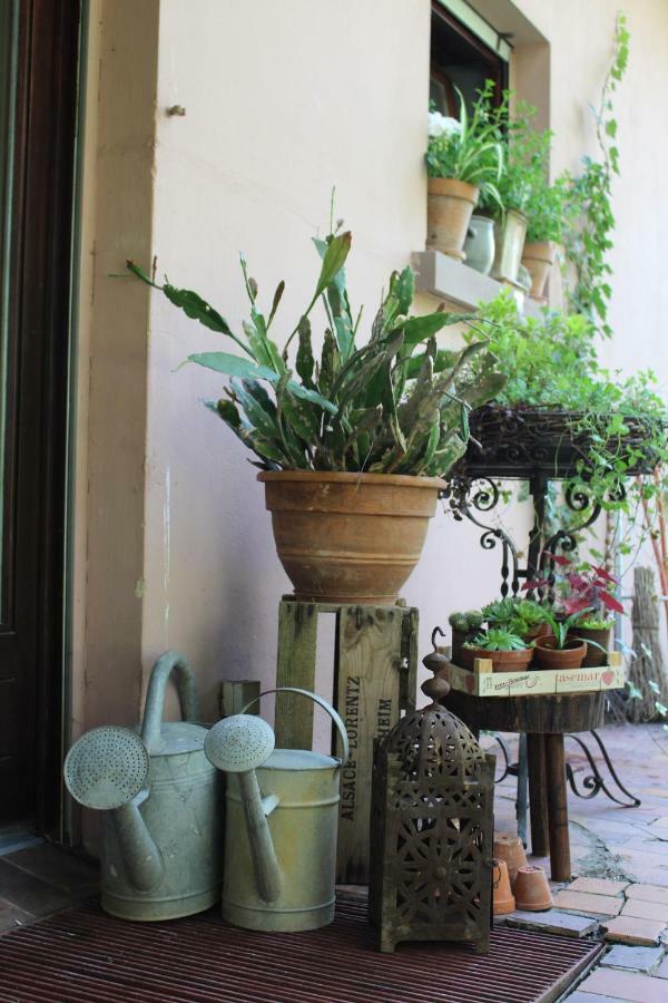 Bed and Breakfast Dans Le Jardin De Marie Bouxwiller  Exterior foto