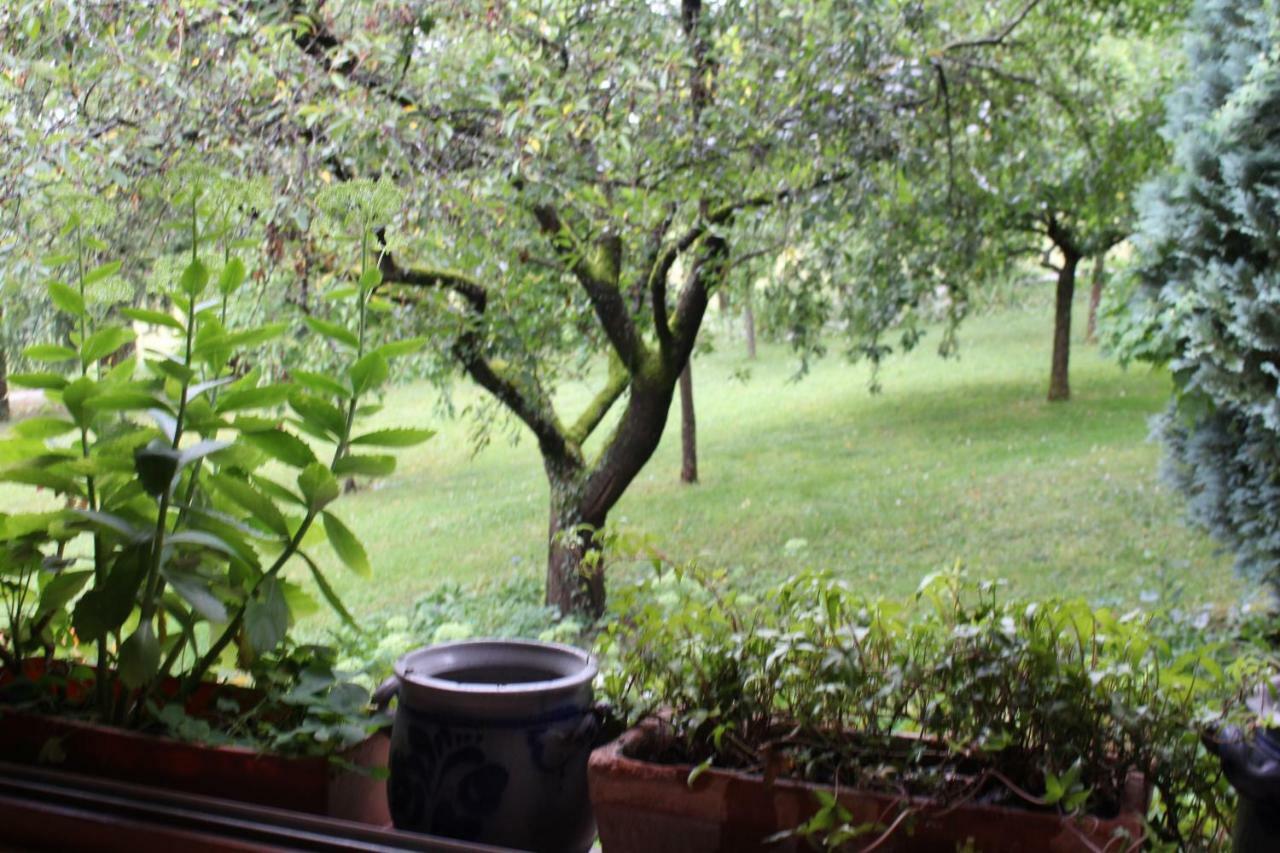 Bed and Breakfast Dans Le Jardin De Marie Bouxwiller  Exterior foto