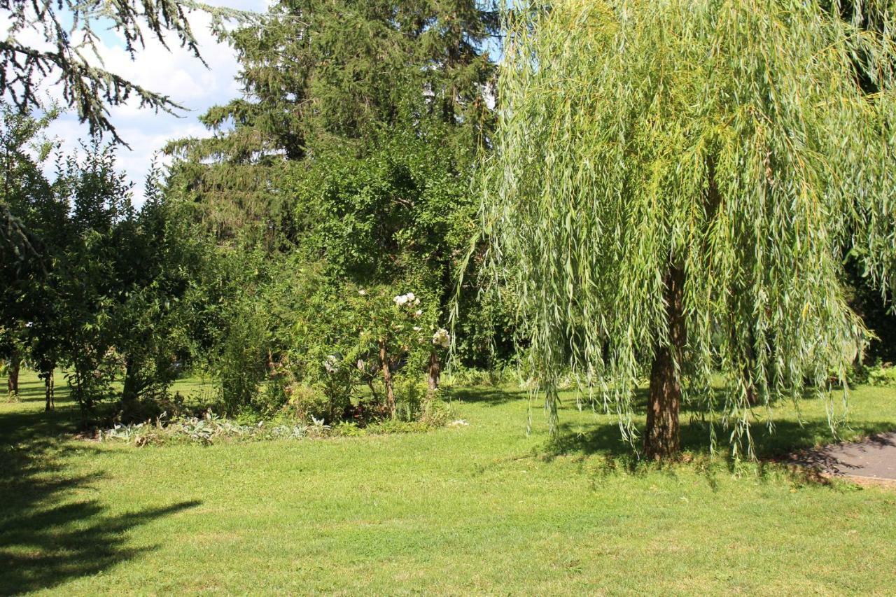 Bed and Breakfast Dans Le Jardin De Marie Bouxwiller  Exterior foto