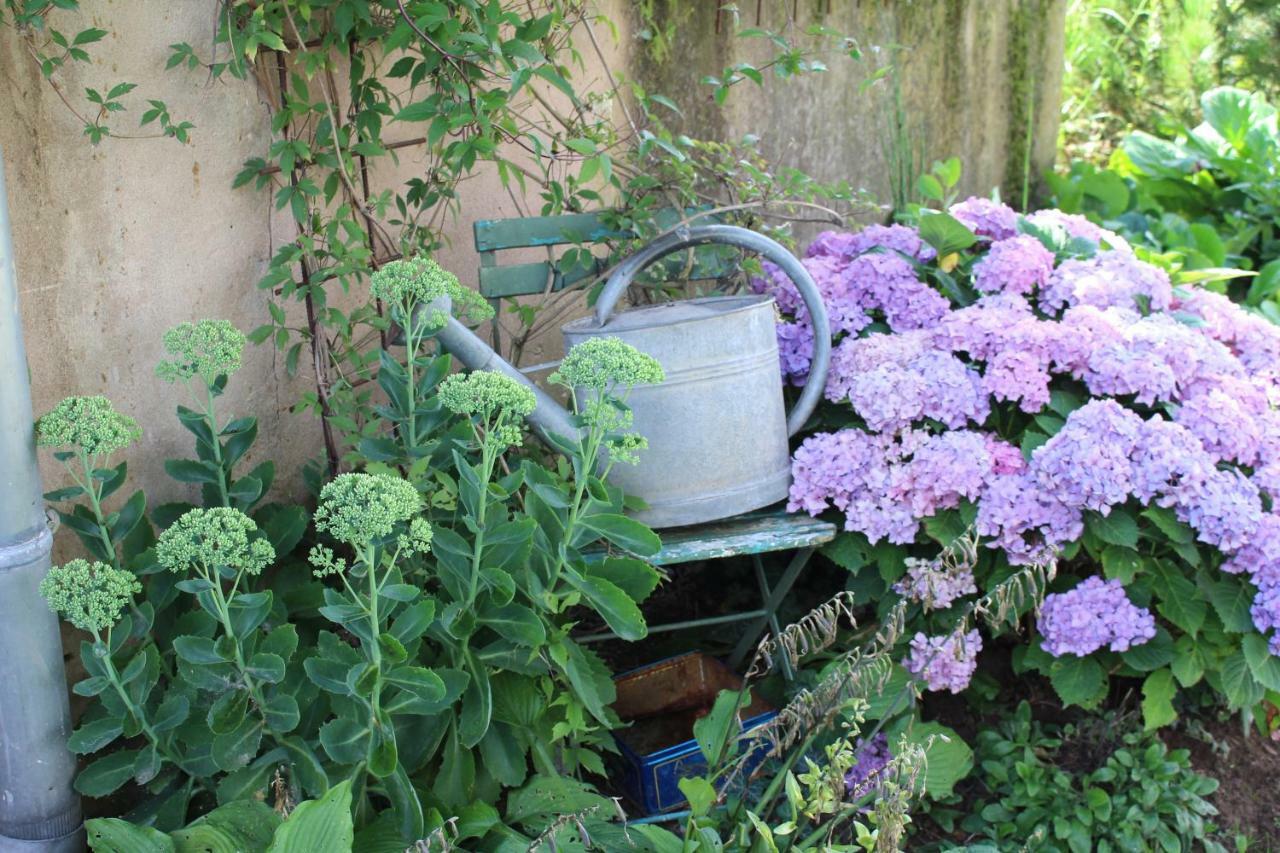 Bed and Breakfast Dans Le Jardin De Marie Bouxwiller  Exterior foto