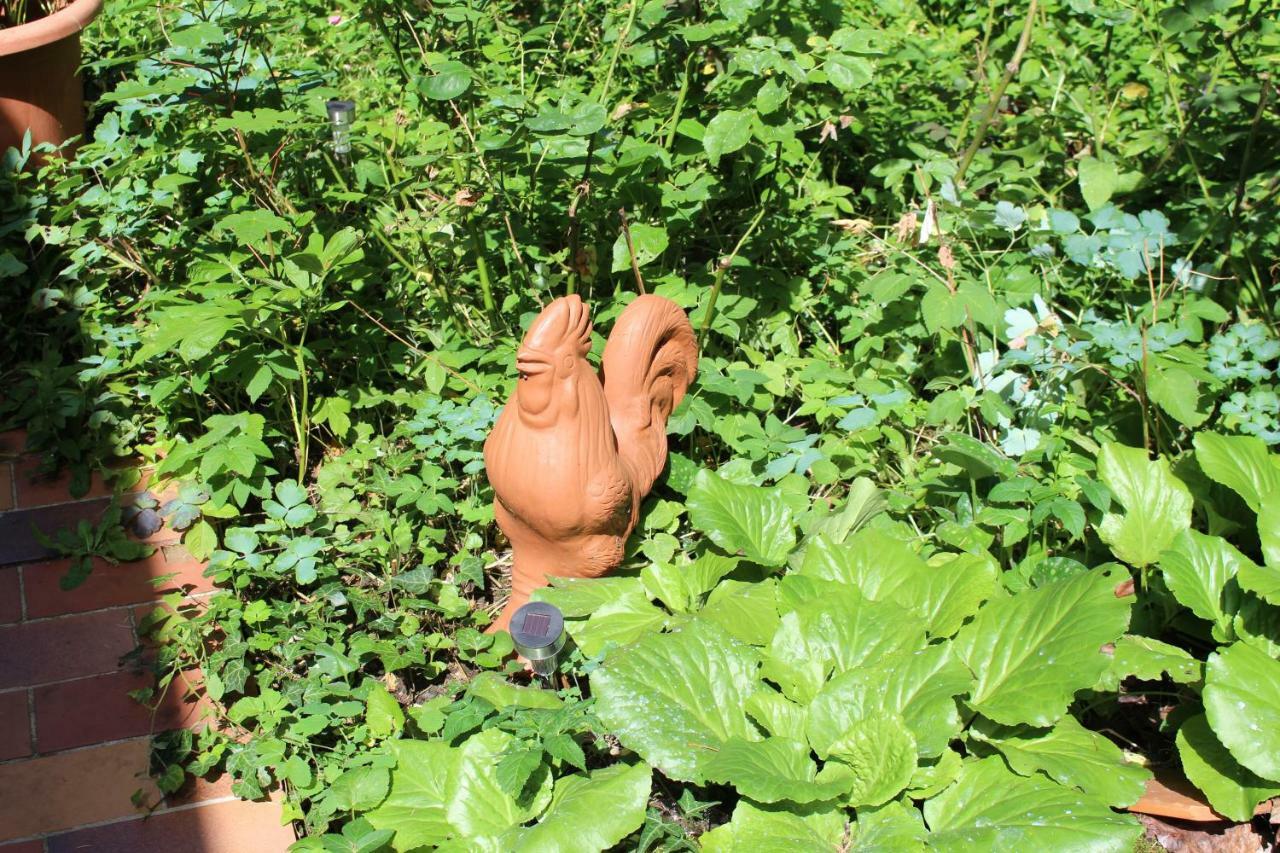 Bed and Breakfast Dans Le Jardin De Marie Bouxwiller  Exterior foto