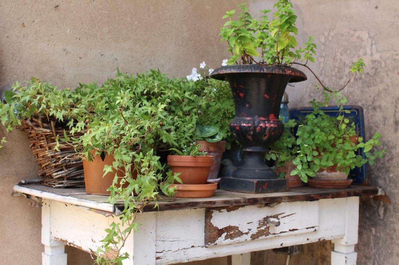 Bed and Breakfast Dans Le Jardin De Marie Bouxwiller  Exterior foto