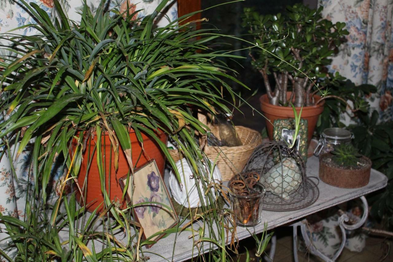 Bed and Breakfast Dans Le Jardin De Marie Bouxwiller  Exterior foto